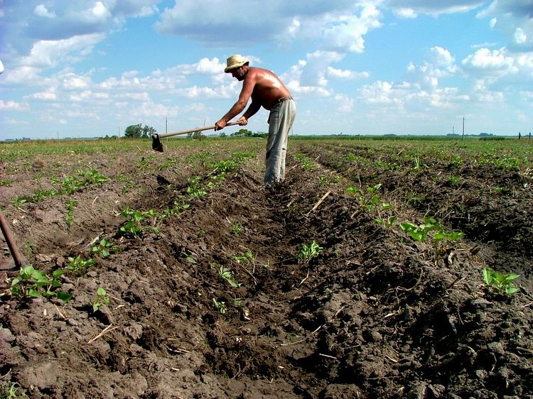 Modernización e innovación para la agricultura familiar colombiana