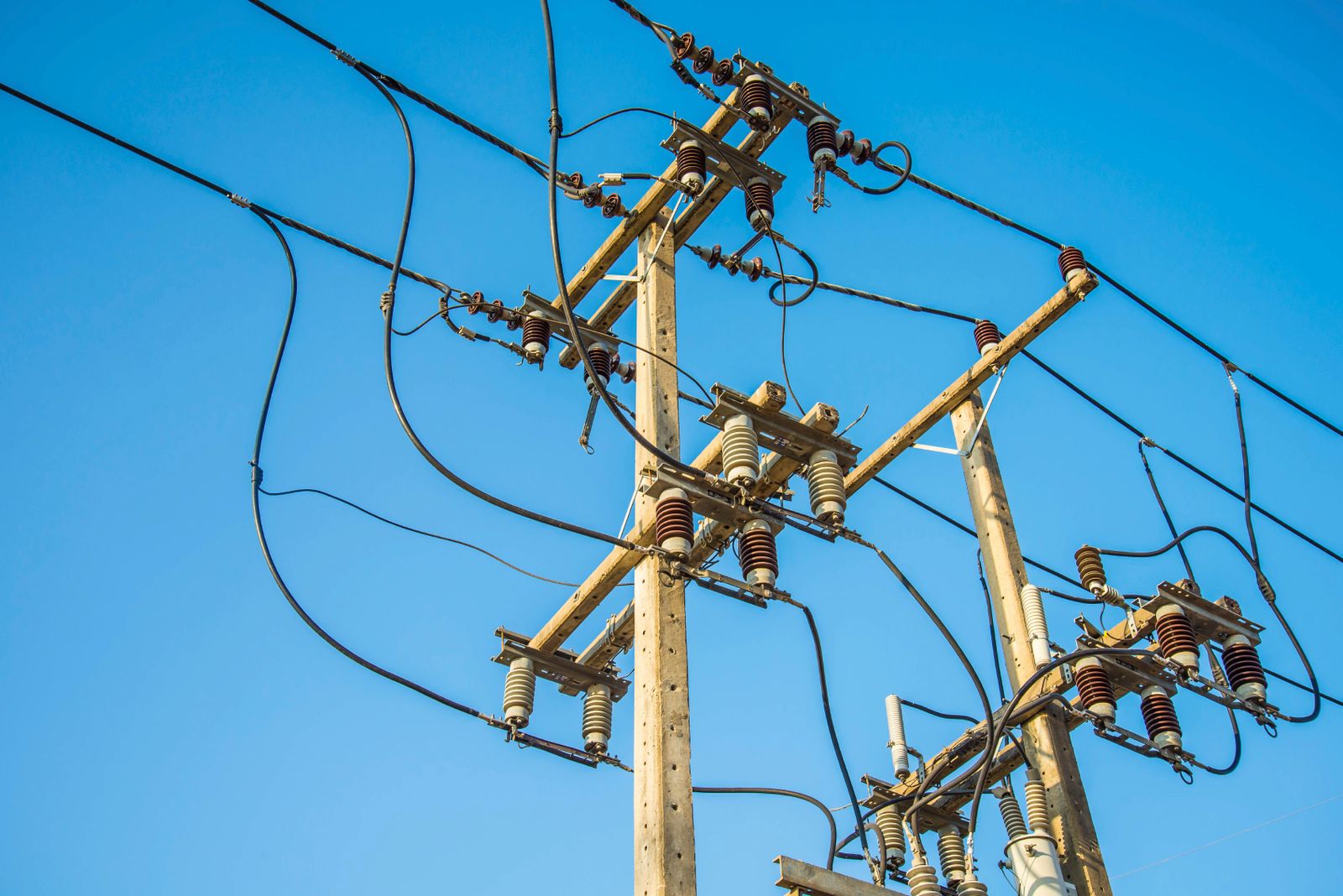 Decisiones sobre redes eléctricas rurales en Tolima