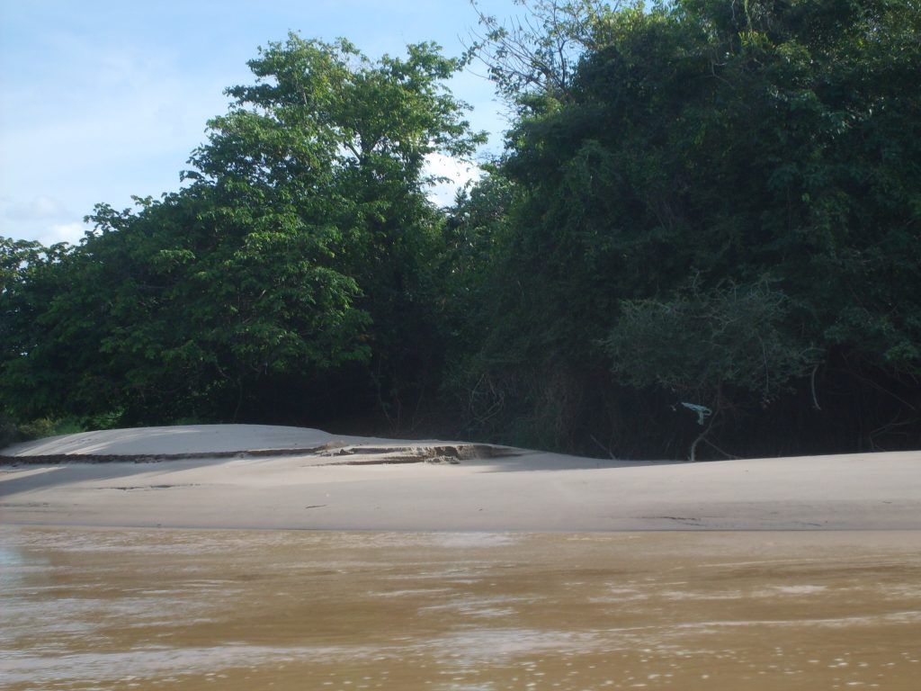 Contaminación en el Río Arauca por atentado a oleoducto 