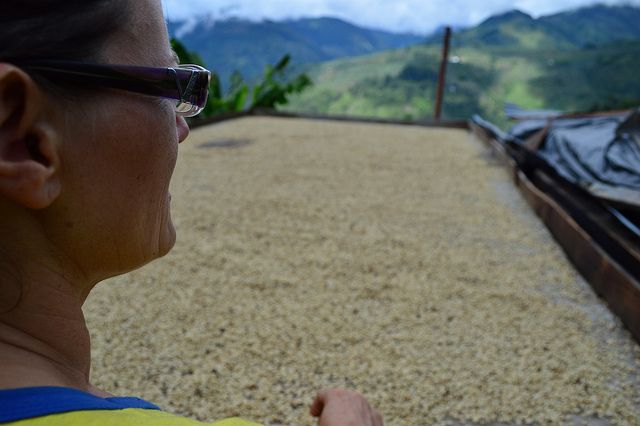 Una alemana que cultiva café orgánico en las montañas del Quindío –Primera parte-