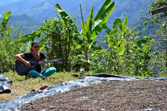Una alemana que cultiva café orgánico en las montañas del Quindío – Segunda parte-