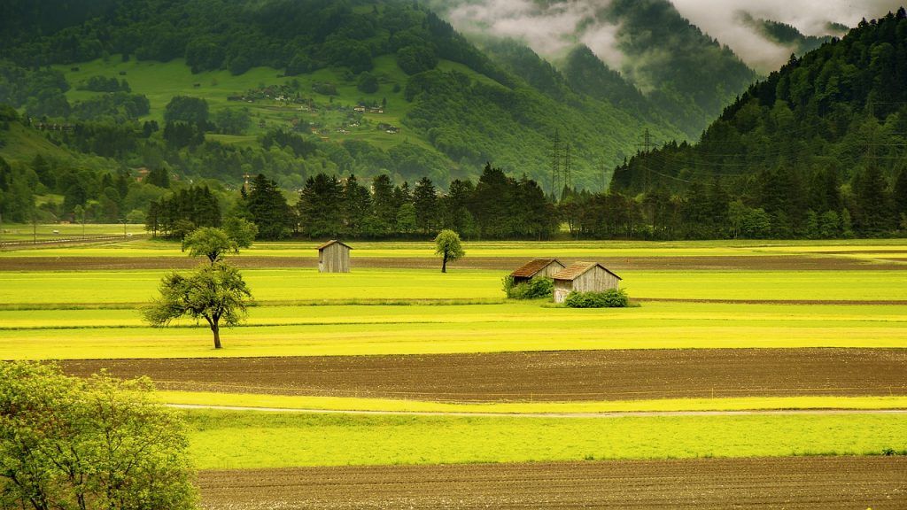 Planificación del uso del suelo rural: clave para el futuro de la agricultura