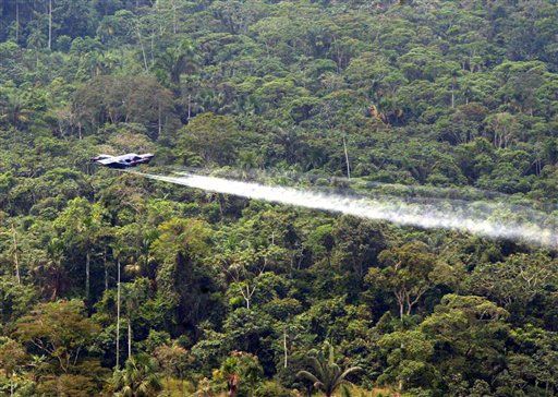 Organizaciones proponen legalizar el cultivo de coca