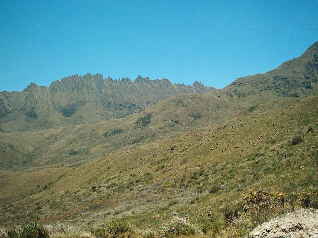 Cerro el serruccho, páramo del Meridiano Occidente del Tolima 