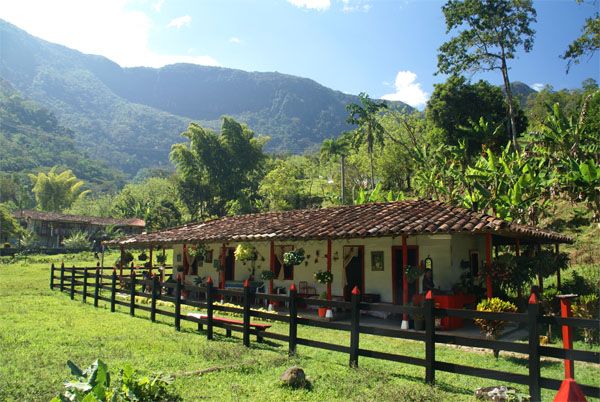 Zona rural departamento de Antioquia 