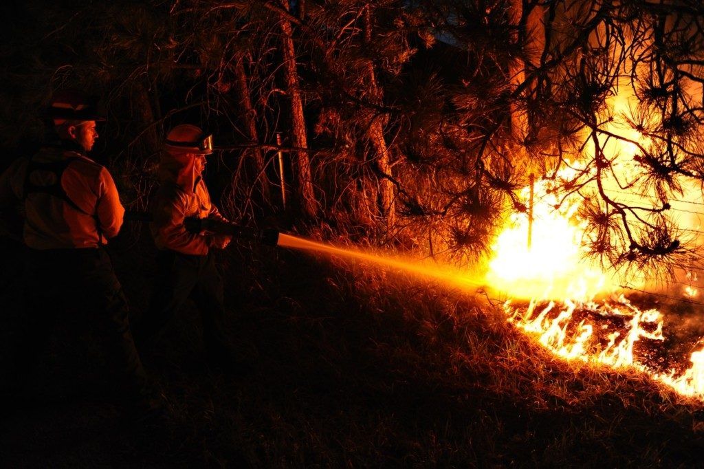 Recomendaciones Para Prevenir Incendios Forestales