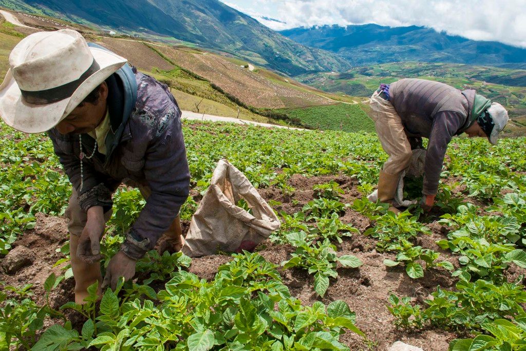 agricultores-nari-enses-se-capacitan-para-mejorar-su-producci-n-y