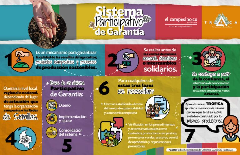 Sistema Participativo De Garant A Y Su Importancia