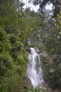 Cascada en Peulla- Sur de Chile
