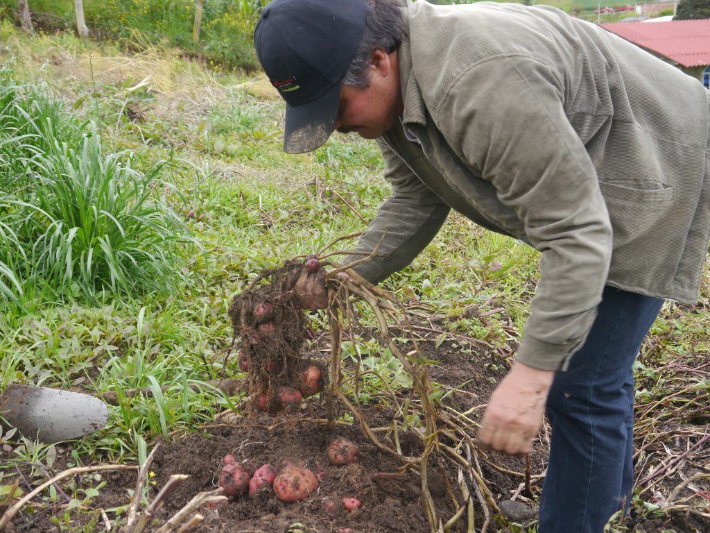 Restitución de tierras en Nariño