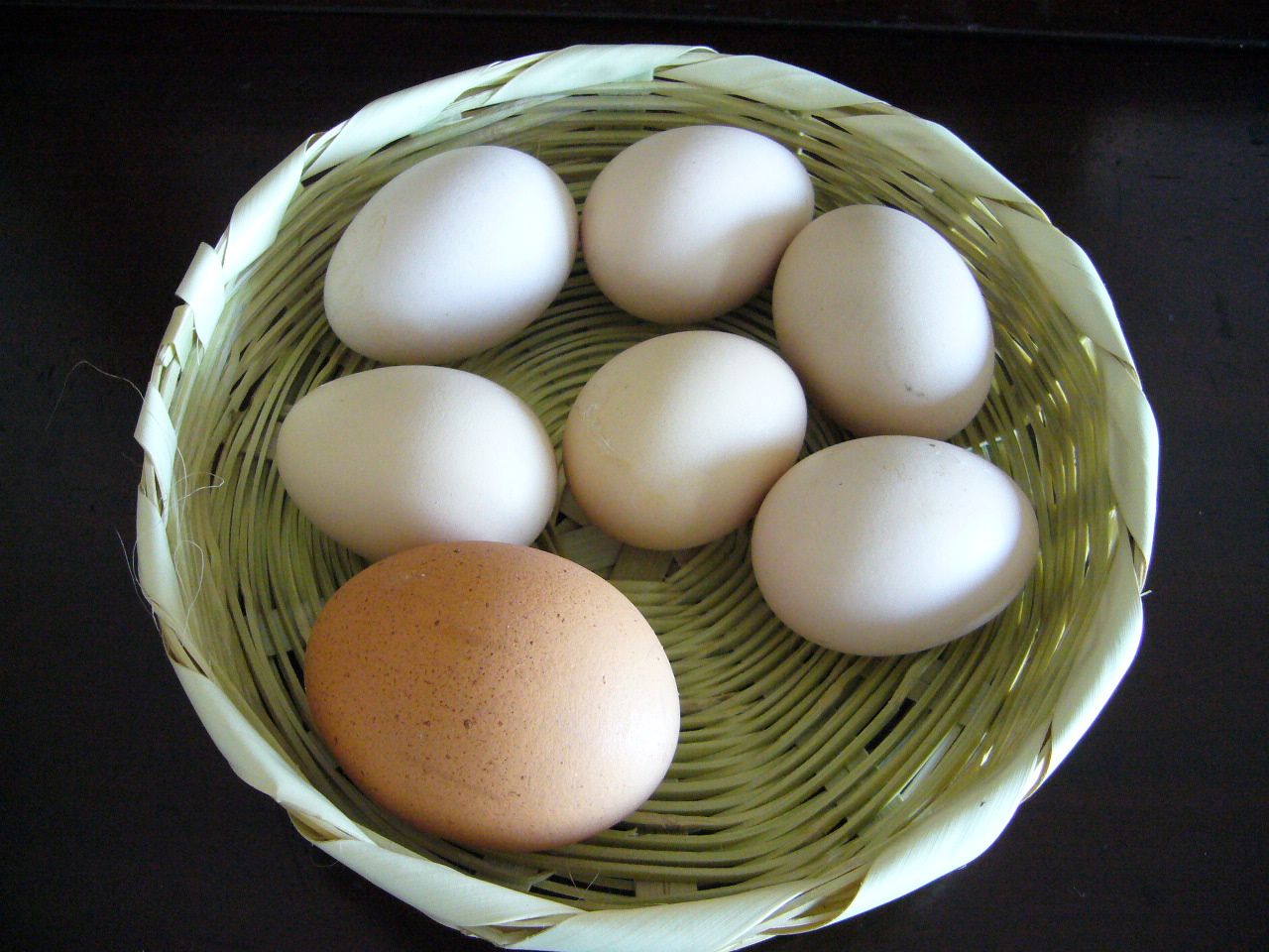 Huevos líquidos, la nueva apuesta de la avicultura