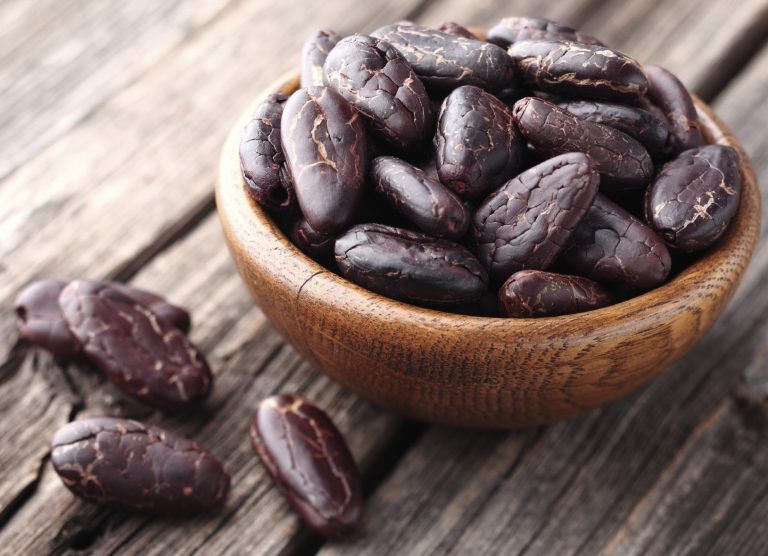 Renovación y nuevas siembras de cacao en Colombia