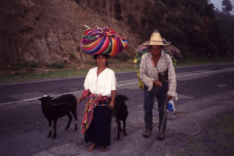 PND desconoce derechos de población vulnerable