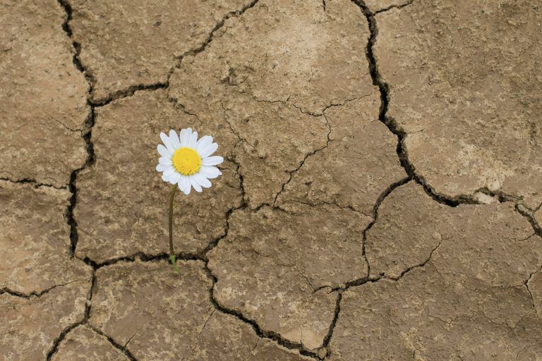 La agricultura es la que más pierde con un desastre