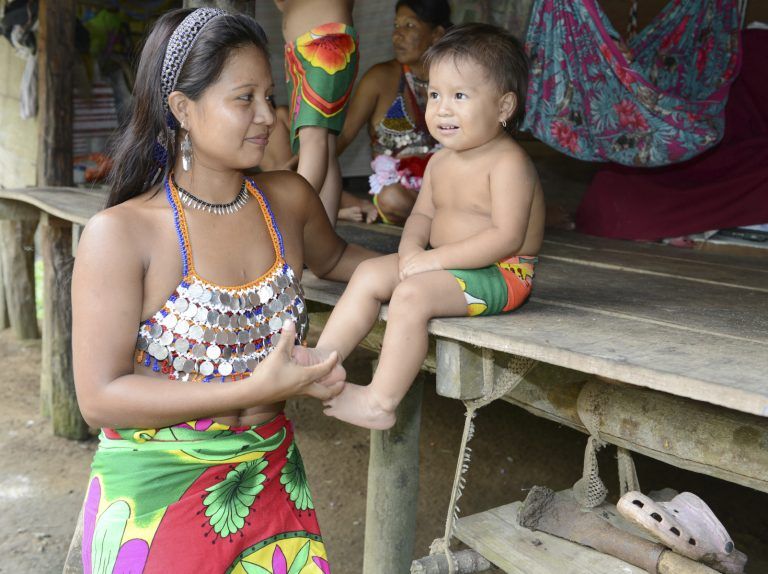 Retorno de los Embera Katio