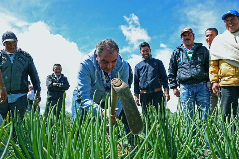 Más de $48 mil millones, serán para la formalización de tierras