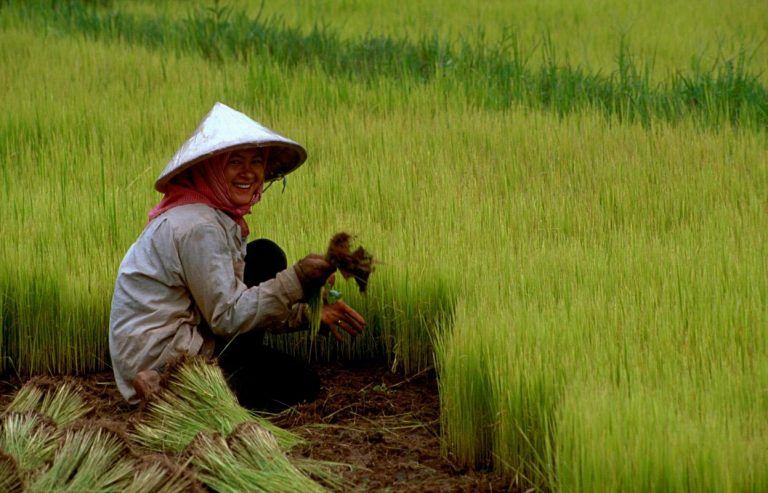 Prácticas agrícolas se imparten en la Guajira