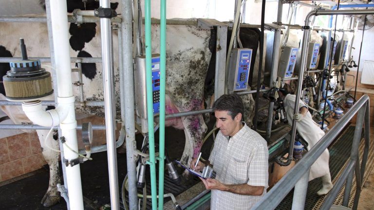 Precio de la leche al productor será estudiado