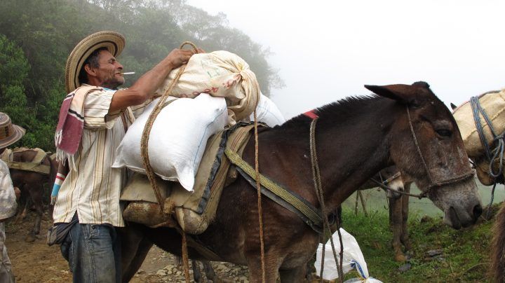 Por Un Lugar Digno Para Nuestros Campesinos Periódico El Campesino La Voz Del Campo Colombiano 8590