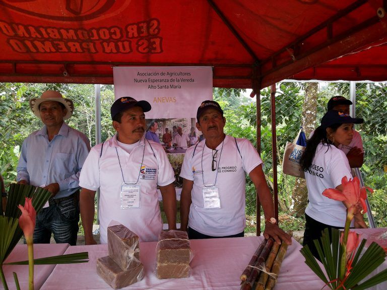 Agricultores cambian sus cultivos de coca, por otros productos