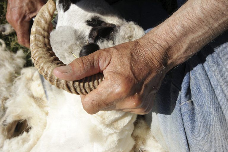 Enfermedades que presentan más los campesinos