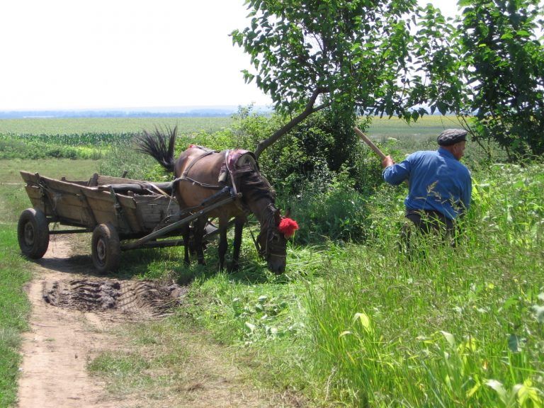 Usted como campesino, también tiene derechos