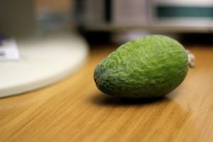 ¿Qué tal un esponjado de Feijoa?