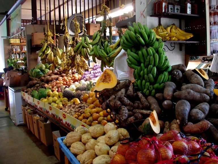 800 millones de personas van a la cama sin consumir alimentos
