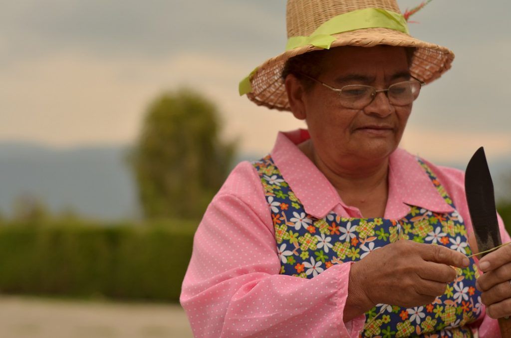 Dirección para mujer rural aprobada en el Congreso