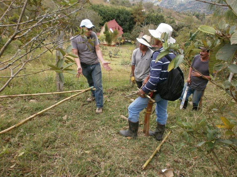 Radio Mundo Rural: ¿Cómo le fue al Paro Agrario del 12 de Octubre?