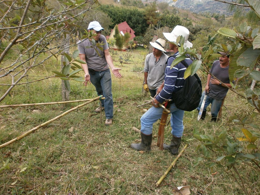 Gobierno no ha respondido al llamado de los campesinos del Catatumbo