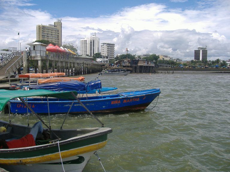 17 especies marinas en Buenaventura presentan concentraciones de mercurio: UN