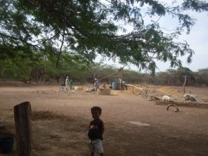 Programa piloto de inclusión social y productiva para el Desarrollo Rural con Enfoque Territorial en las zonas rurales de la Alta Guajira