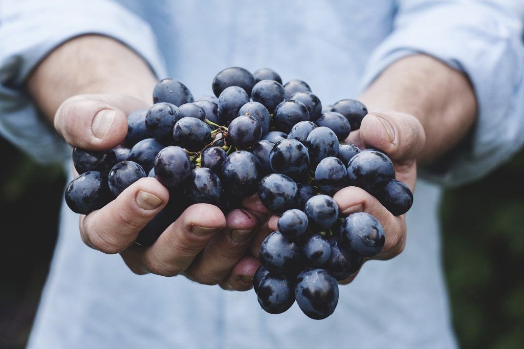 Mañana tenemos cita con los Mercados Campesinos en Bogotá