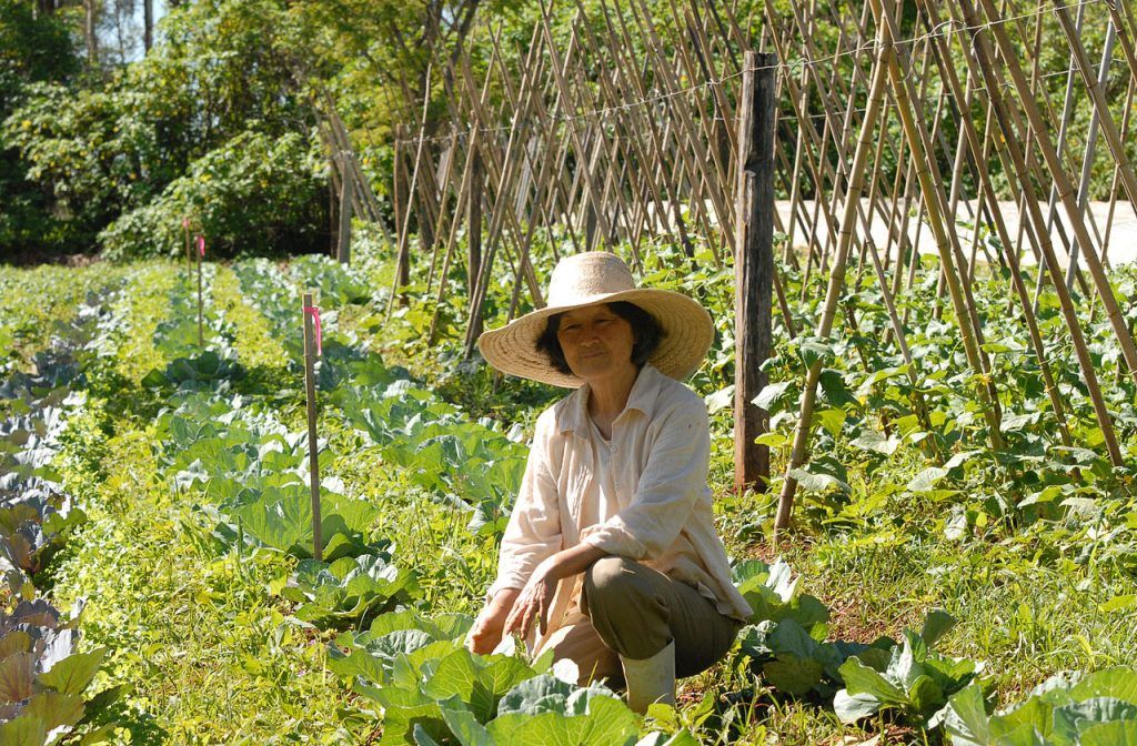 Agricultura Familiar fortalece la familia y la sociedad