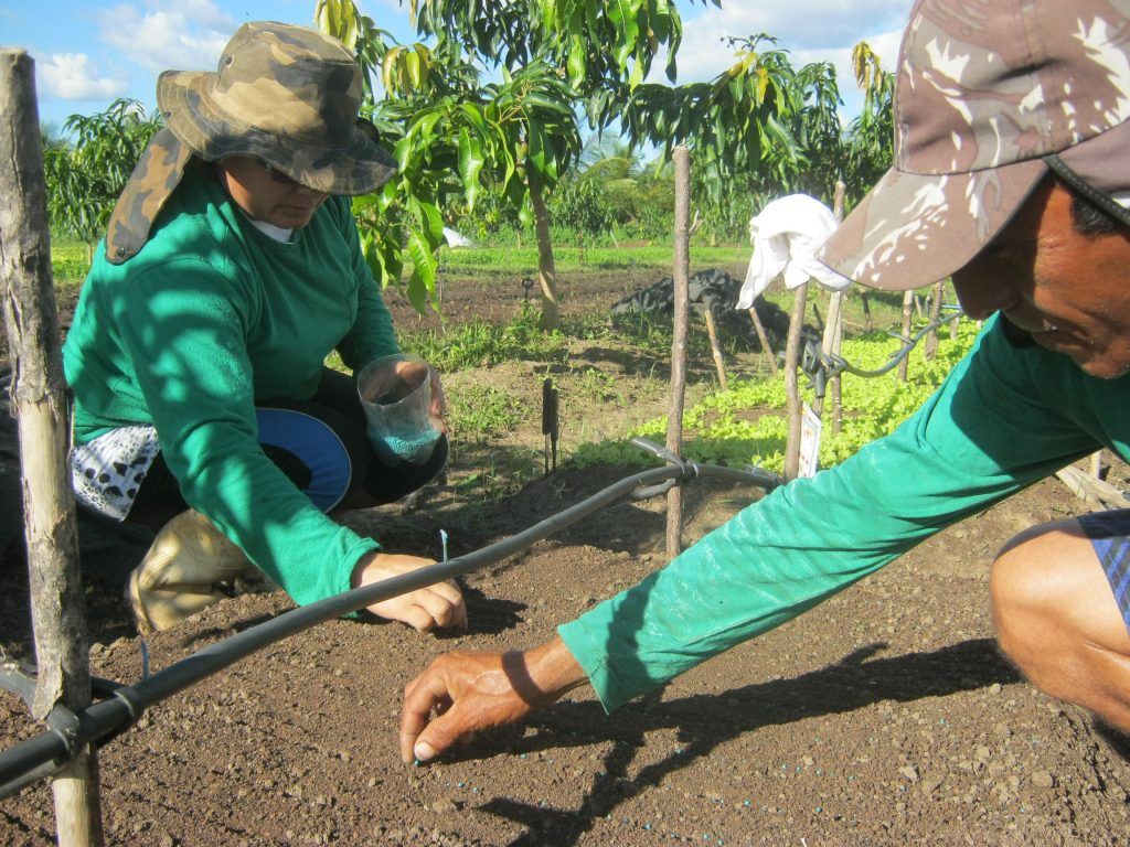 Abiertas las inscripciones para taller sobre agricultura familiar en Caquetá