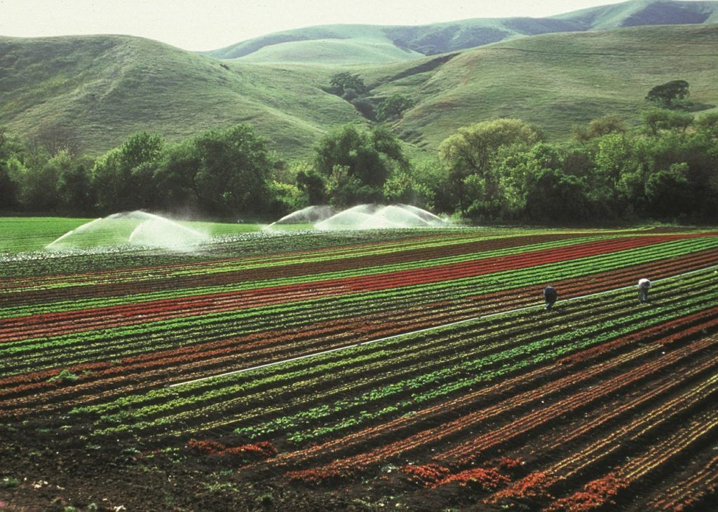 IICA invita a fortalecer la inversión en la agricultura en la región