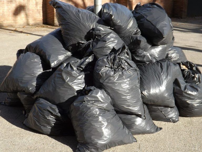 Día Internacional Libre de bolsas de plástico
