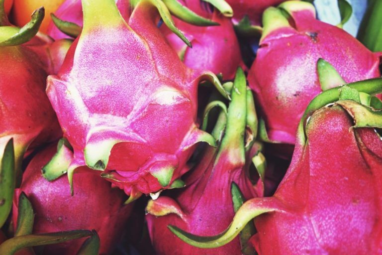 Colombia exportará pitahaya a el continente Asiático