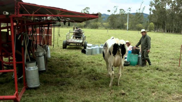 Boyacá, lanza programa verde para combatir cambio climático