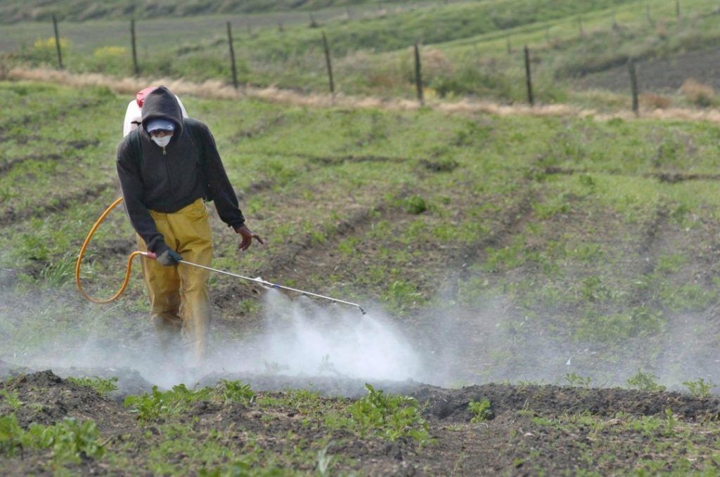 Foto: www.biofabrica.com.mx