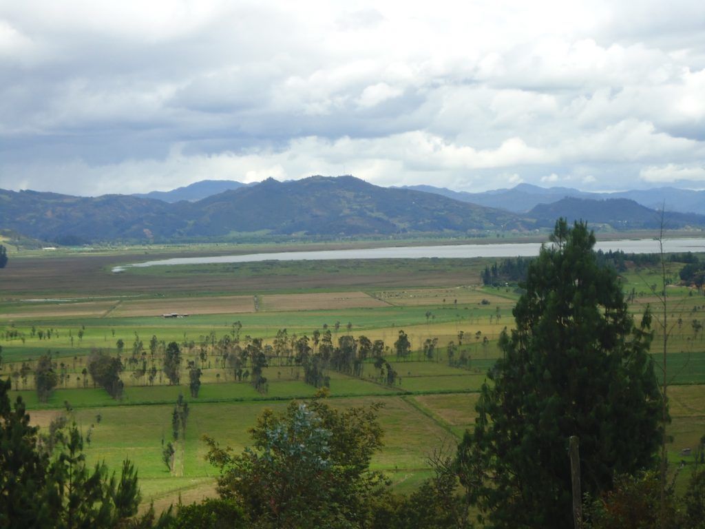 La ganadería y algunos cultivos le han ido quitando vida a la laguna. El municipio de Chiquinquirá, capital de la provincia de Furatena, tiene serios problemas de abastecimiento de agua. 