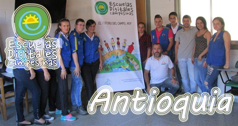 EDC Antioquia/ Cultivos ilícitos, un enemigo que se fortalece