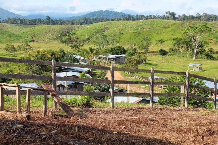 Campesinos son desplazados en el nordeste antioqueño