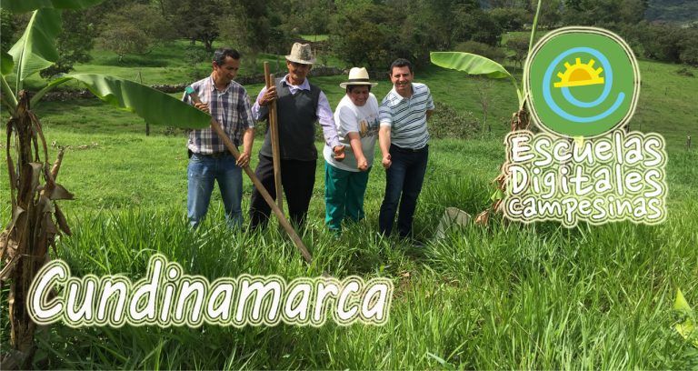 EDC Cundinamarca/ Girardot busca ser pionera en pedagogía para la paz