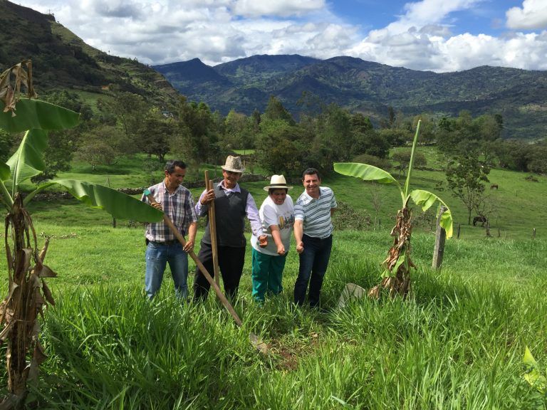 Minagricultura toma medidas para la salud pública