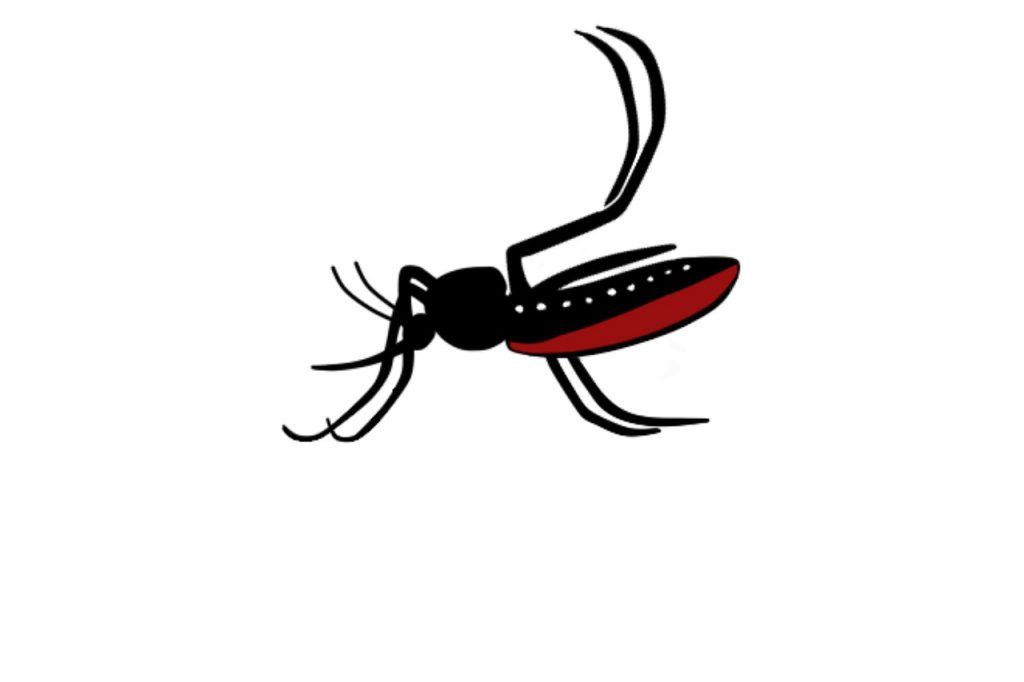 aedes-aegypti-1350788_1280