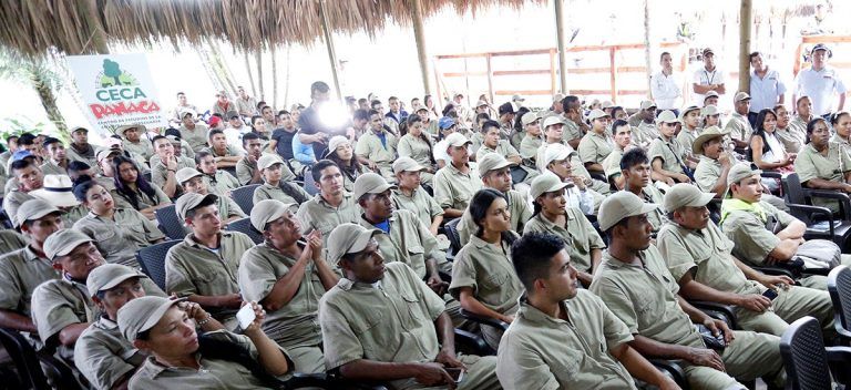 Becas para campesinos víctimas del conflicto armado
