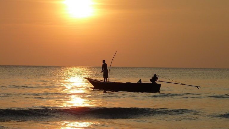 Estaciones piscícolas para desarrollar la acuicultura