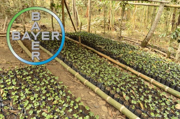 Bayer apuesta a la agricultura digital